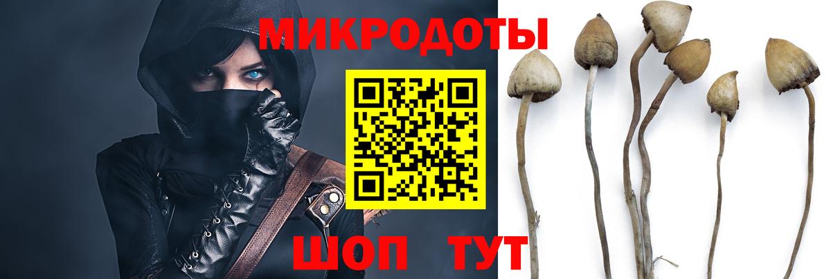 Белебей  Галлюциногенные грибы ЛСД  Вход с VPN 